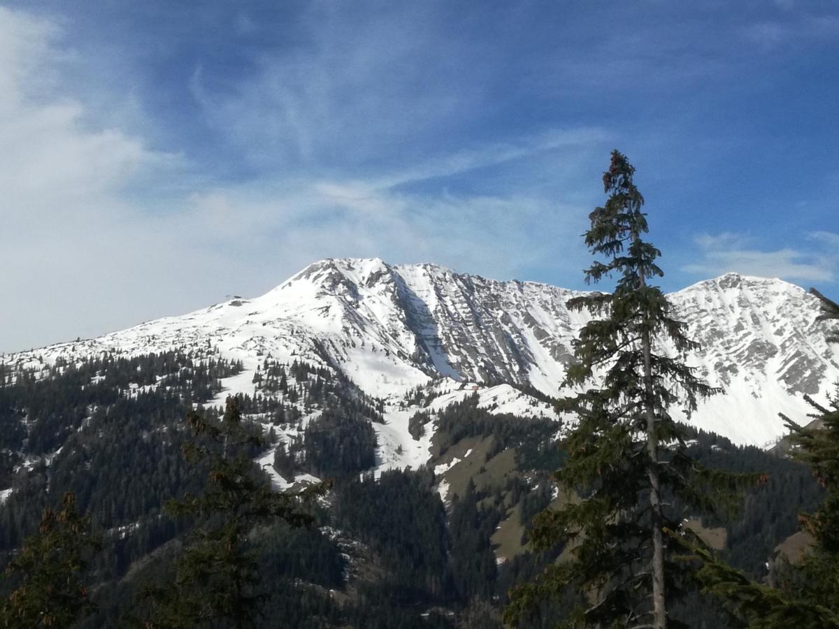Haus Haas Daire Lermoos Dış mekan fotoğraf