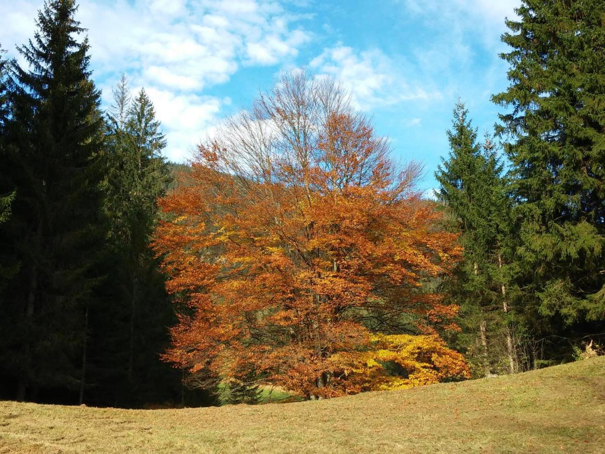 Haus Haas Daire Lermoos Dış mekan fotoğraf